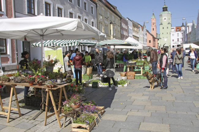 Wochenmarkt1